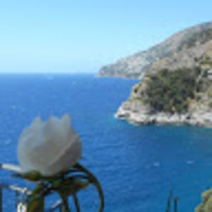 Meet your Posher, Daniela